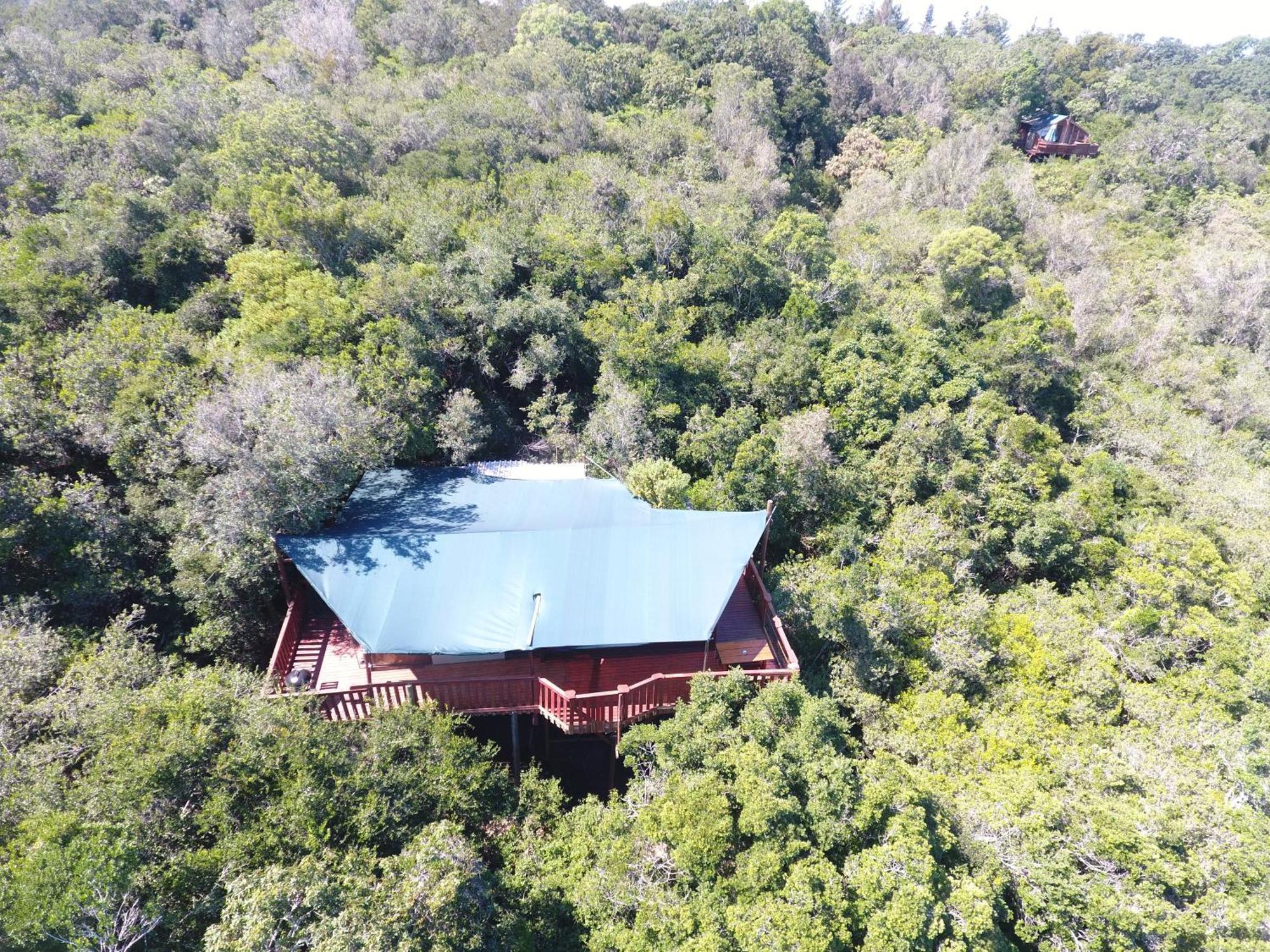Teniqua Treetops Karatara Settlement Exterior foto